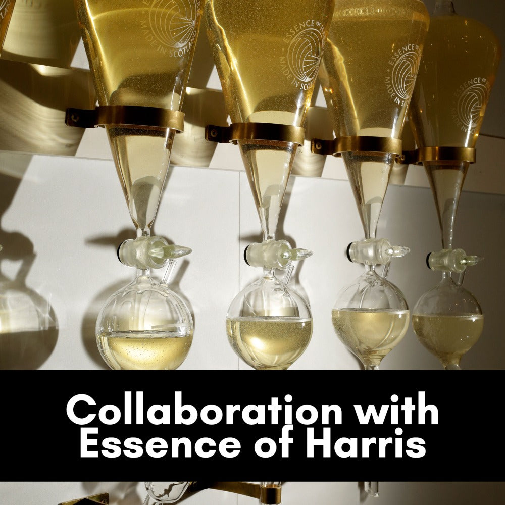 Collaboration with Essence of Harris