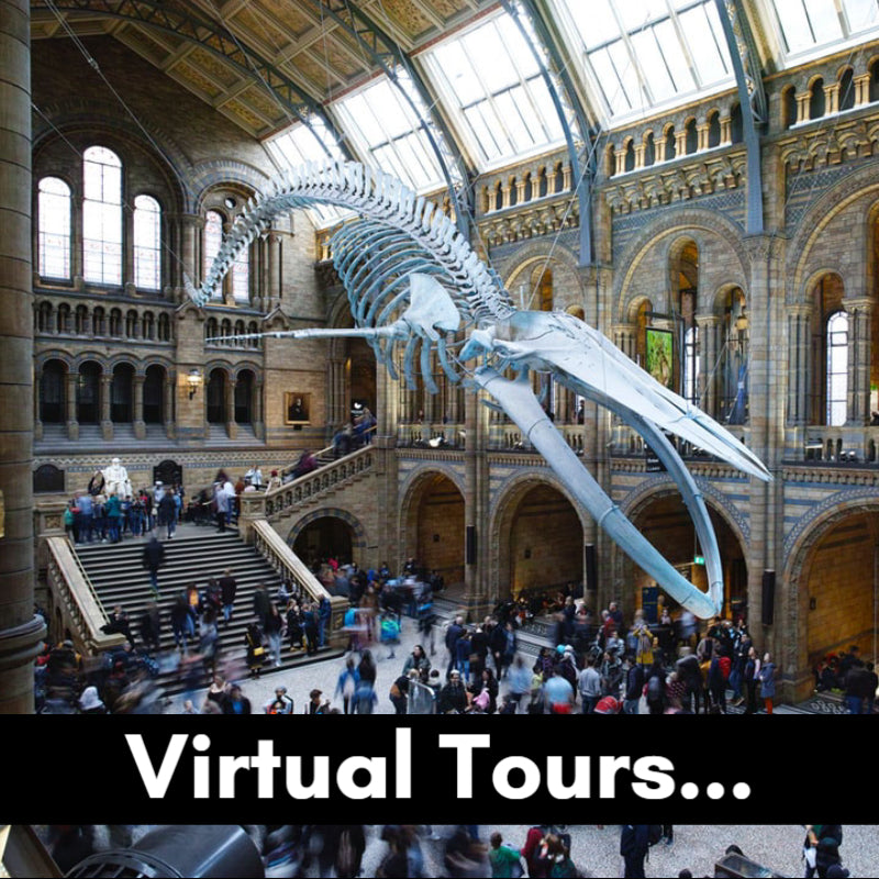 Virtual Tours...