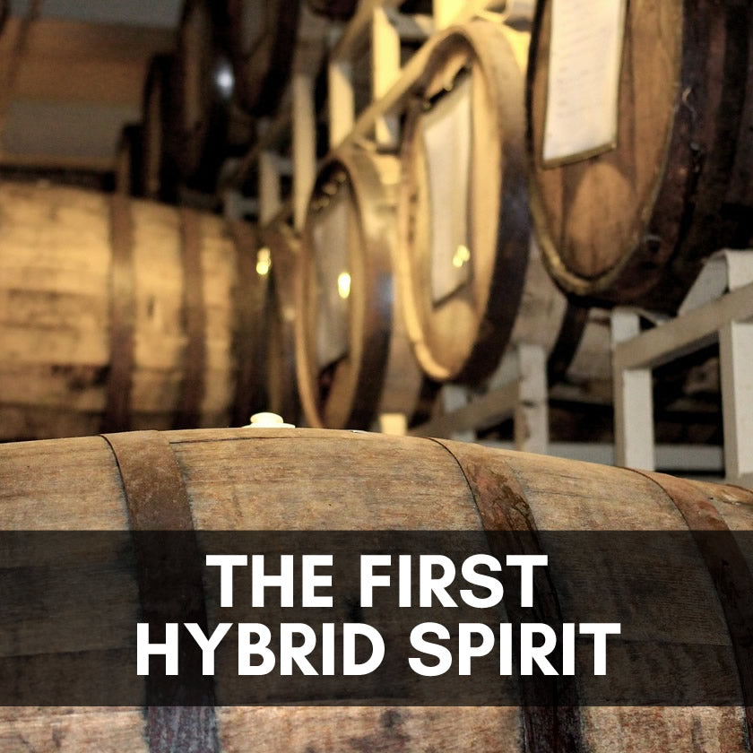 First Hybrid Spirit